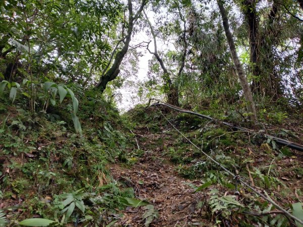 平溪區三功大厝+番子坑山+千階嶺步道O型2781105