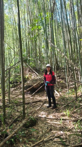 唐穗山11408162860914