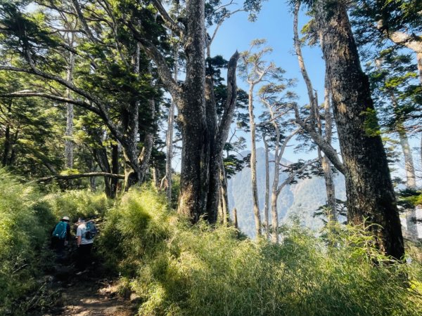 1140404二訪～塔關山2754075