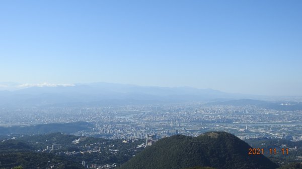 秋高氣爽芒花季再度陽明山天際線-七星山主東峰+大屯山主南西峰向天面天山O型+小觀音山主西南峰共10峰1511069