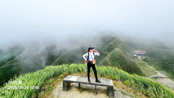 小百岳三角崙山(東南峰)全紀錄2879917