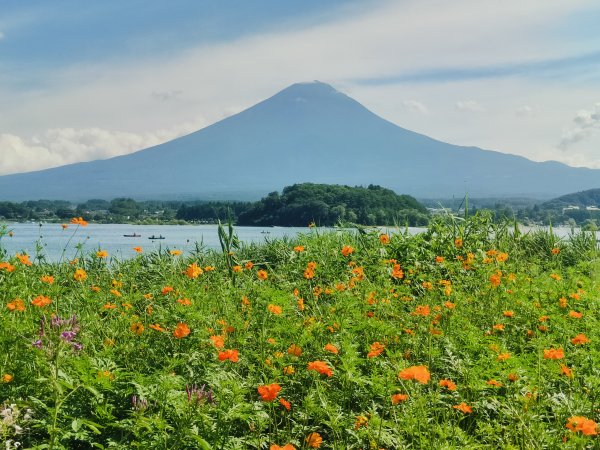 2024登富士山自助旅行2638876