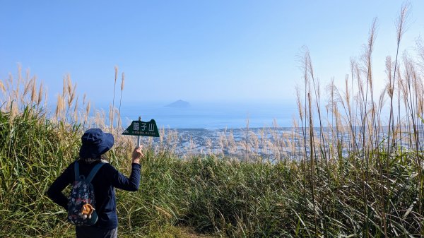 清修宮,鵲子山,跑馬古道2394409