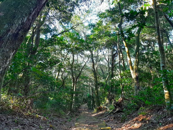 臺北大縱走2：興福寮登山口至小油坑791040