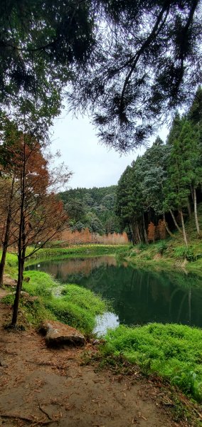 2023-01-01杉林溪青龍蕨類步道(青龍瀑布)、松瀧岩瀑布及天地眼步道1978865