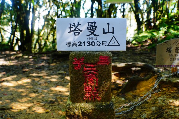 新北 烏來 塔曼山