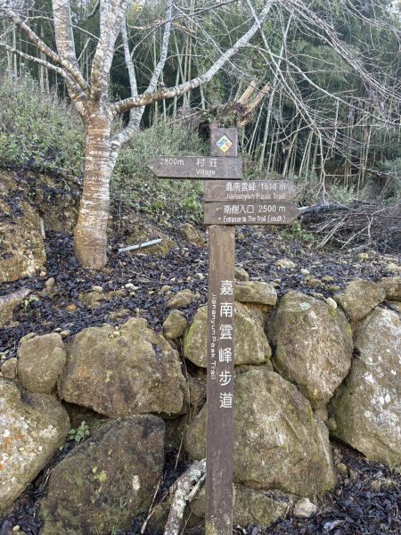 20251221嘉南雲峰、石壁山登山步道2968075