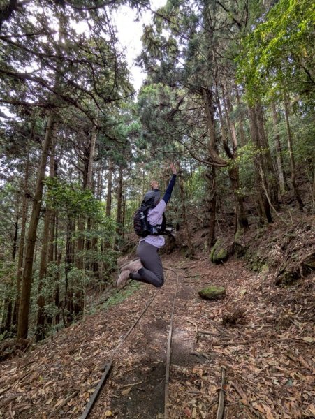 加里山（大坪登山口-杜鵑嶺-避難小屋）2767748