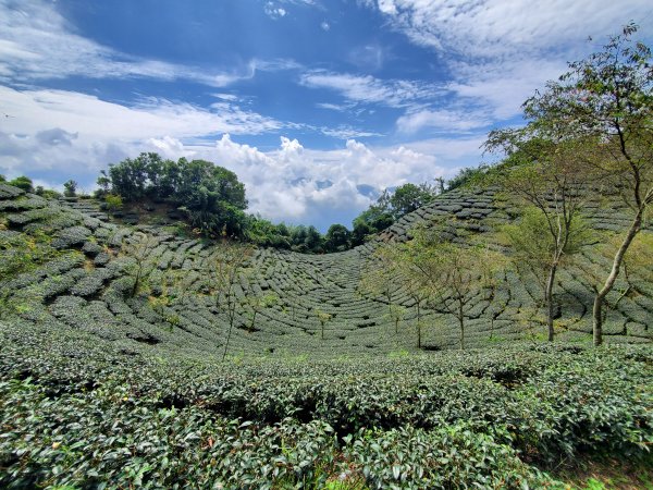 【嘉義 | 獨立山走大籠頂】1112264