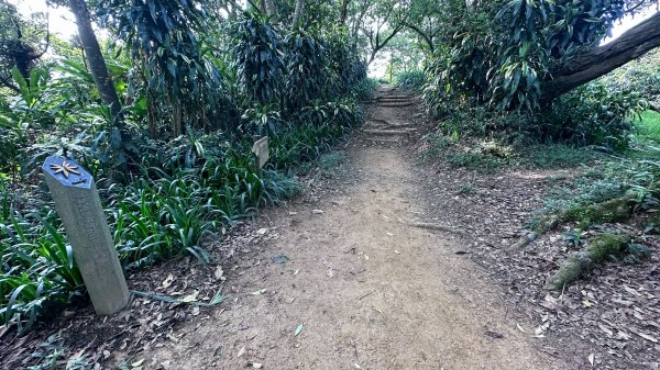 淡蘭古道南路第一段第二段2822839