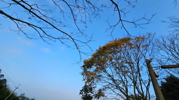 出關古道：十份崠段2700627