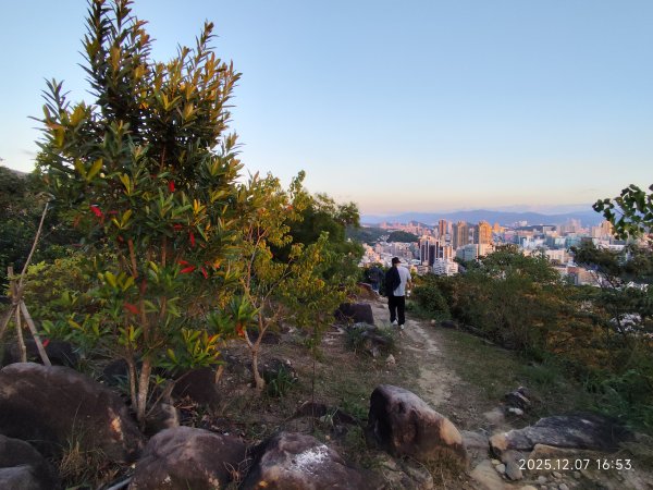 【臺北大縱走 5】碧山巖→忠勇山越嶺步道→金龍產業道路→圓明寺步道→鄭成功廟→潛園→格物台→劍潭古寺2959035