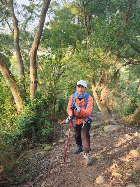 【田中秘境】田中大小劍+小奇萊O繞2719655