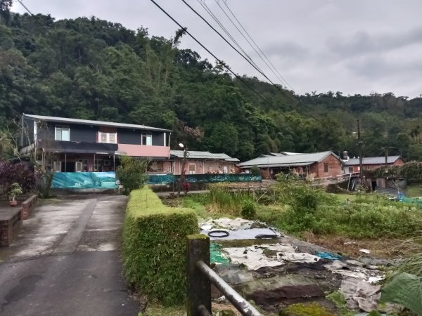 雙溪區彎穹平林山+平湖東步道+紙坑古道(億山煤礦)+紙坑山出平水聚落O型2965782