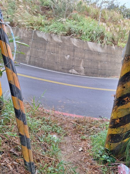 竹東三山(樹杞林山-新具庄山-員崠子山)202412262676686