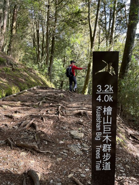 【樂山林道】鐵道遺跡、尤命神木、鹿坑山1650746