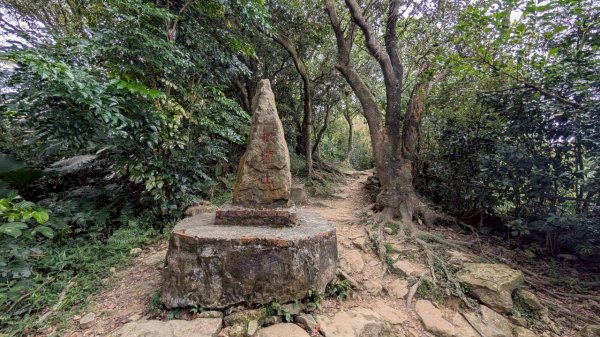 114.09.14青龍嶺-秋壇山-鎮遠山-大青坑崙-三角埔頂山之旅(二)