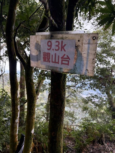 20251227尾寮山登山步道2970547