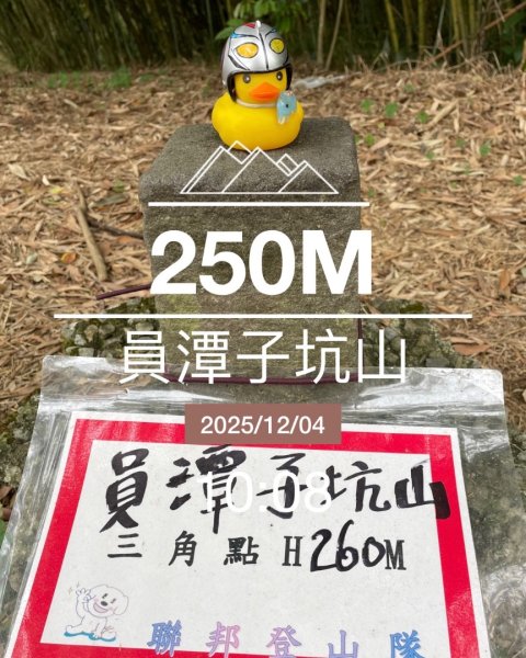 銀河洞越嶺貓空-新高麗坑山-銀獅縱走-猴山岳群峰+三條魚縱走2955914