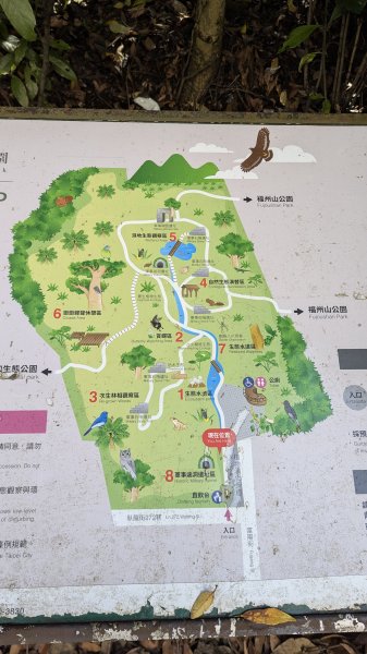 不是臺北大縱走63042937
