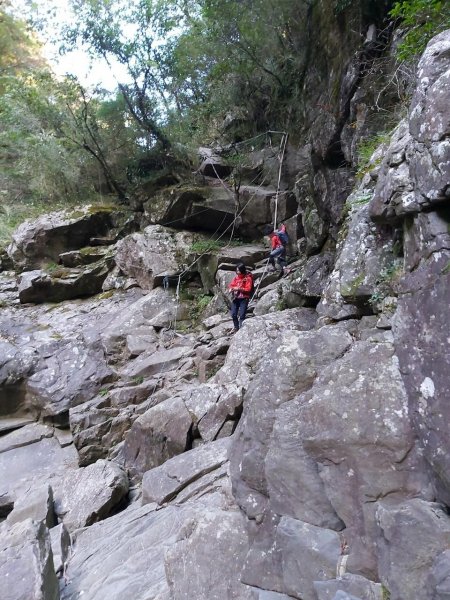 阿興阿賢合歡溪步道上合歡西峰1491100