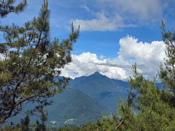 志佳陽大山（回程走高繞環山獵人登山步道）2542174