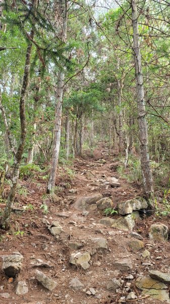 谷關七雄--馬崙山2326339