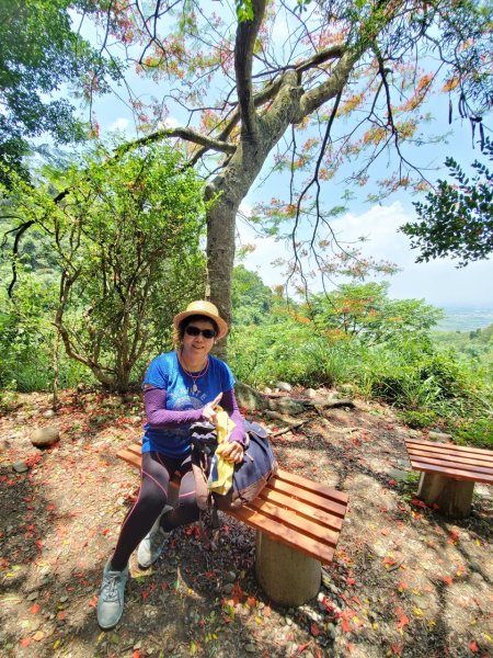 【彰化 | 橫山】975447