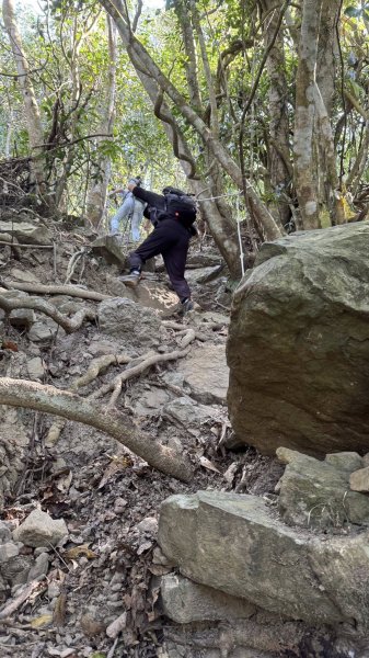 20260212 小百岳白雲山及西阿里關山3002909