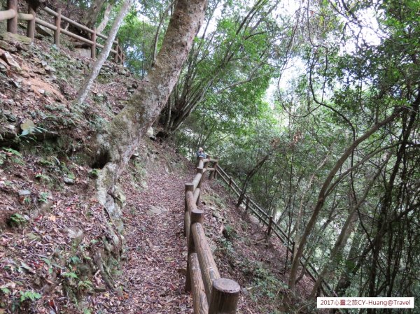 《南投》心靈之旅｜惠蓀林場步道群20171010-212890580