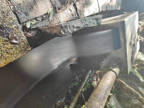 草山觀瀑吊橋-百年楓香巨木-草山水管支線-大屯瀑布-小隱潭瀑布2982757