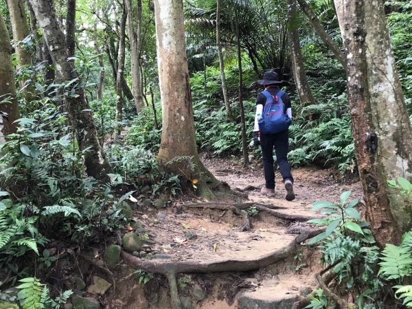飛鳳山觀日坪連走中坑山388263