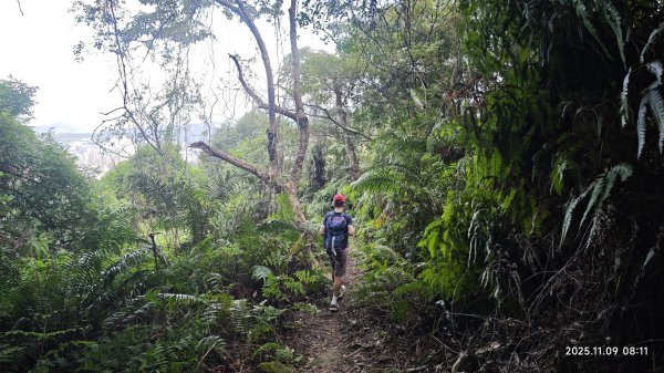 20251109 士林站到大湖站(福山宮_腰繞_燕溪古道_翠山步道_龍船岩_大溝溪)2932327