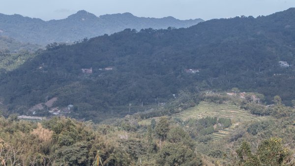 枕頭山古砲台歷史古道O型（含薑母島）2948562