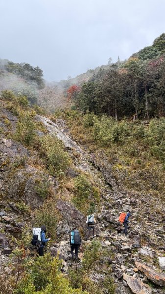 小關山 神池 2026 01/09 兩天一夜2982133