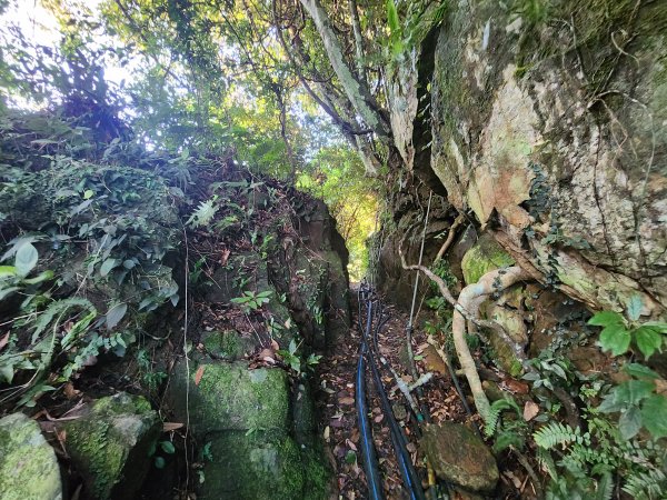 20240707馬胎古道2780981