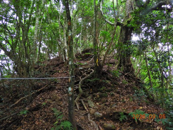 新竹 五峰 油羅山1088978