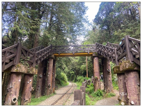 大塔山 (小百岳最高峰)2773172