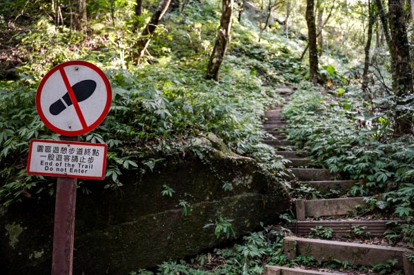 滿月圓森林步道2870090
