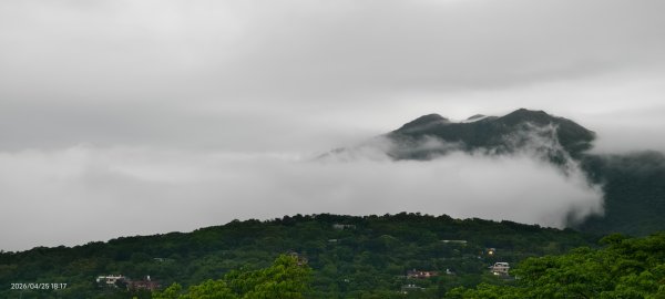 #文化大學 #雲海 #琉璃光 #陽明山秘境 4/253042467