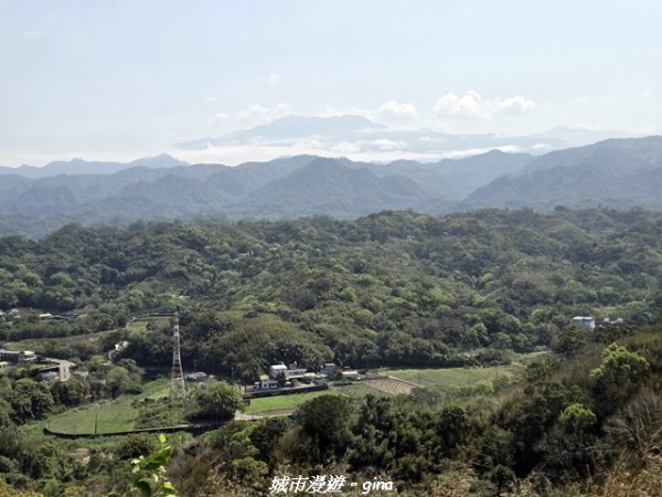 【苗栗頭屋】墨硯山步道3011348