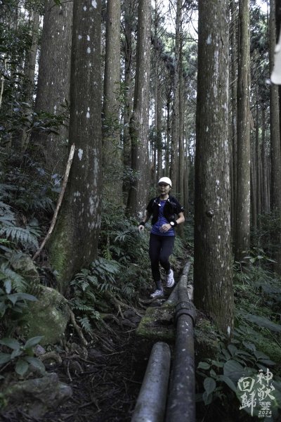 20241228之向天湖山 加里山 哈堪尼山 虎山西南峰 南大龜山 三角湖山2688713