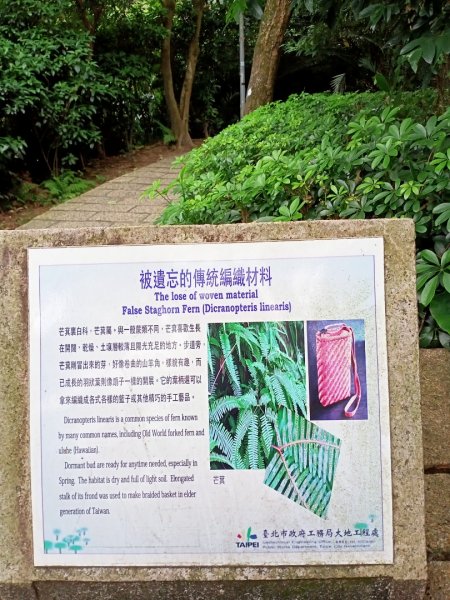 【Move Free 益節逆齡行動】虎山1168450