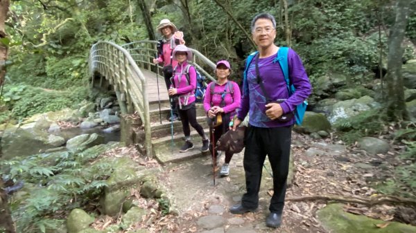 走青山瀑布探老梅冷泉|Qingshan Waterfall|秘境不秘|老梅瀑布|峯花雪月2561831