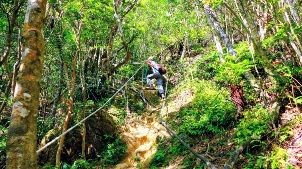 筆架山越嶺2918231