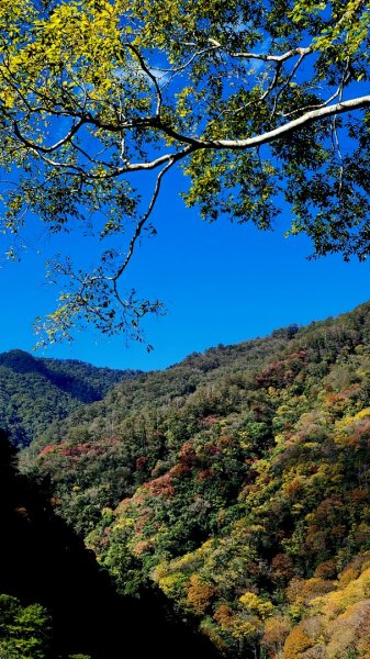 霞克羅古道1553116