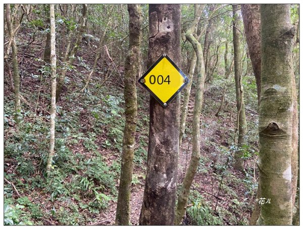 赫威山、多崖山、北插天山 連走2957280