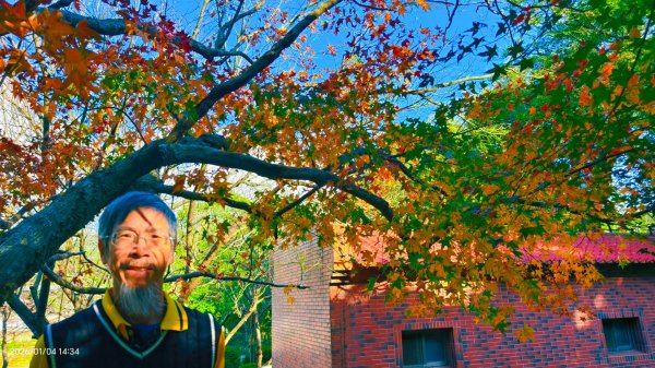 #花卉試驗中心 #永公路500巷 #平菁街42巷 #原住民公園 #士林官邸 1/42976638