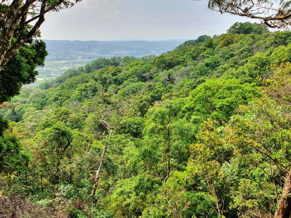 鳶嘴山，醜崠山，長壽山，榛山步道，三員縱走，文林古道，高梘頭山，糖塔山，鐘樓古道1691668