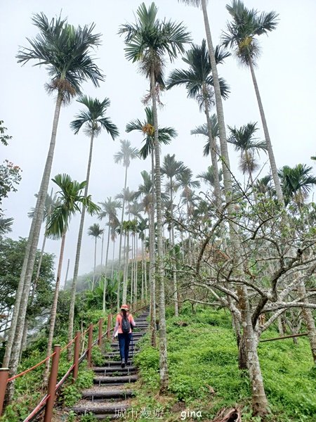 【嘉義竹崎】說好的稜線風景呢。阿拔泉山稜線步道連走獨立山O繞2684128
